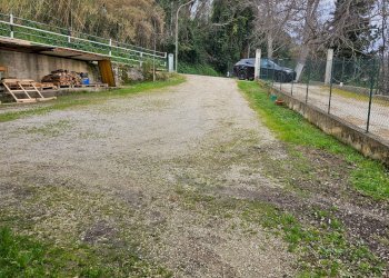 Foto 10 - Locale Commerciale Ascoli Piceno - foto 10