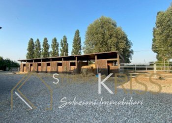 Foto 10 - Casa indipendente Via Pontisette, Ferrara - foto 10