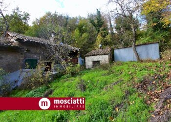 giardino - Rustico Via Harrar
 
46, Camerino - foto 4