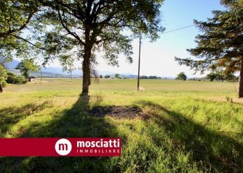 giardino - Independent house Collepere, Matelica - photo 14