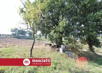 Foto 4 - Independent house Via Peschiera, Matelica - photo 4