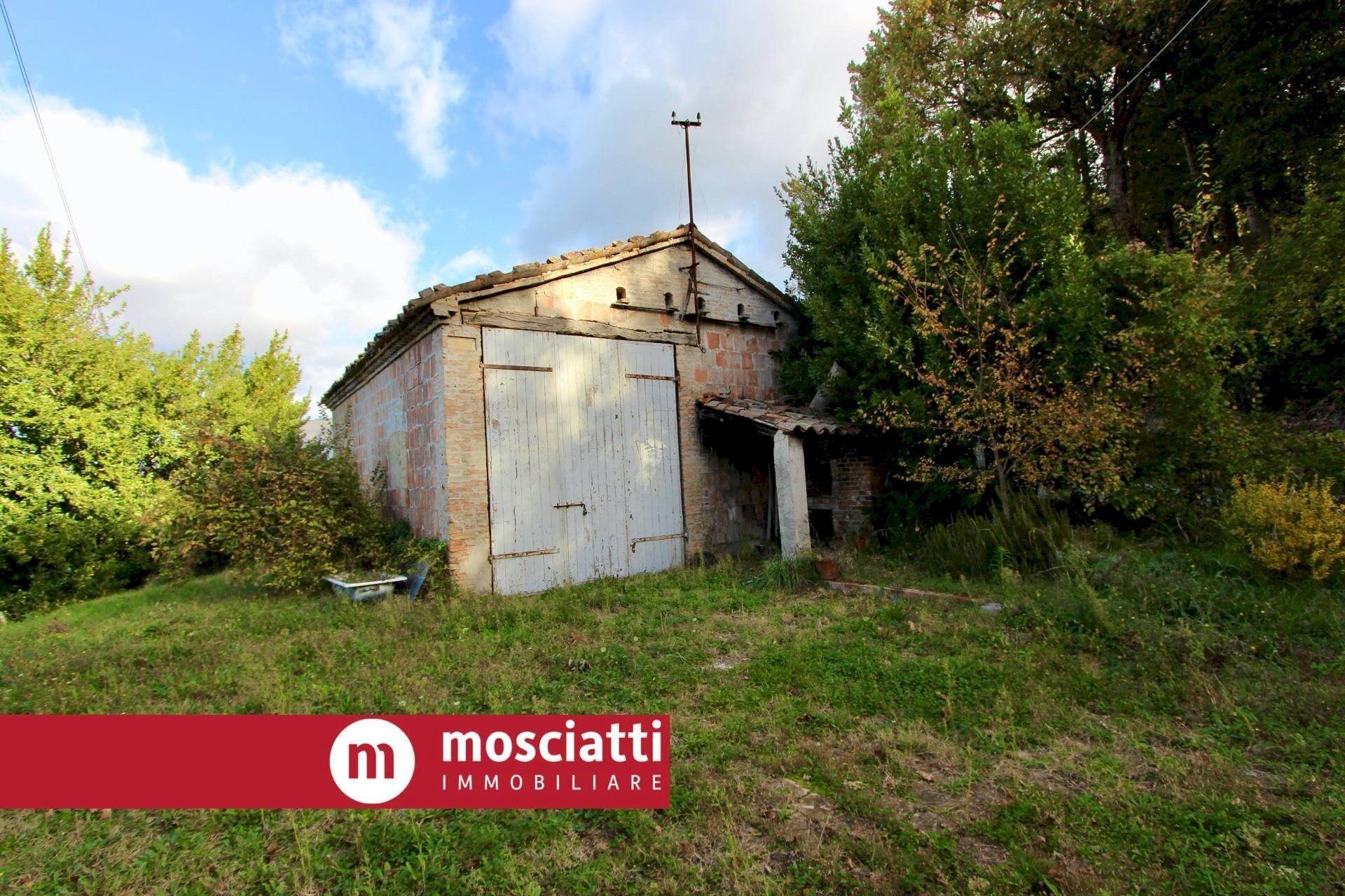 Foto 3 - Casa indipendente Località Rustichelle, Cerreto d'Esi - foto 3