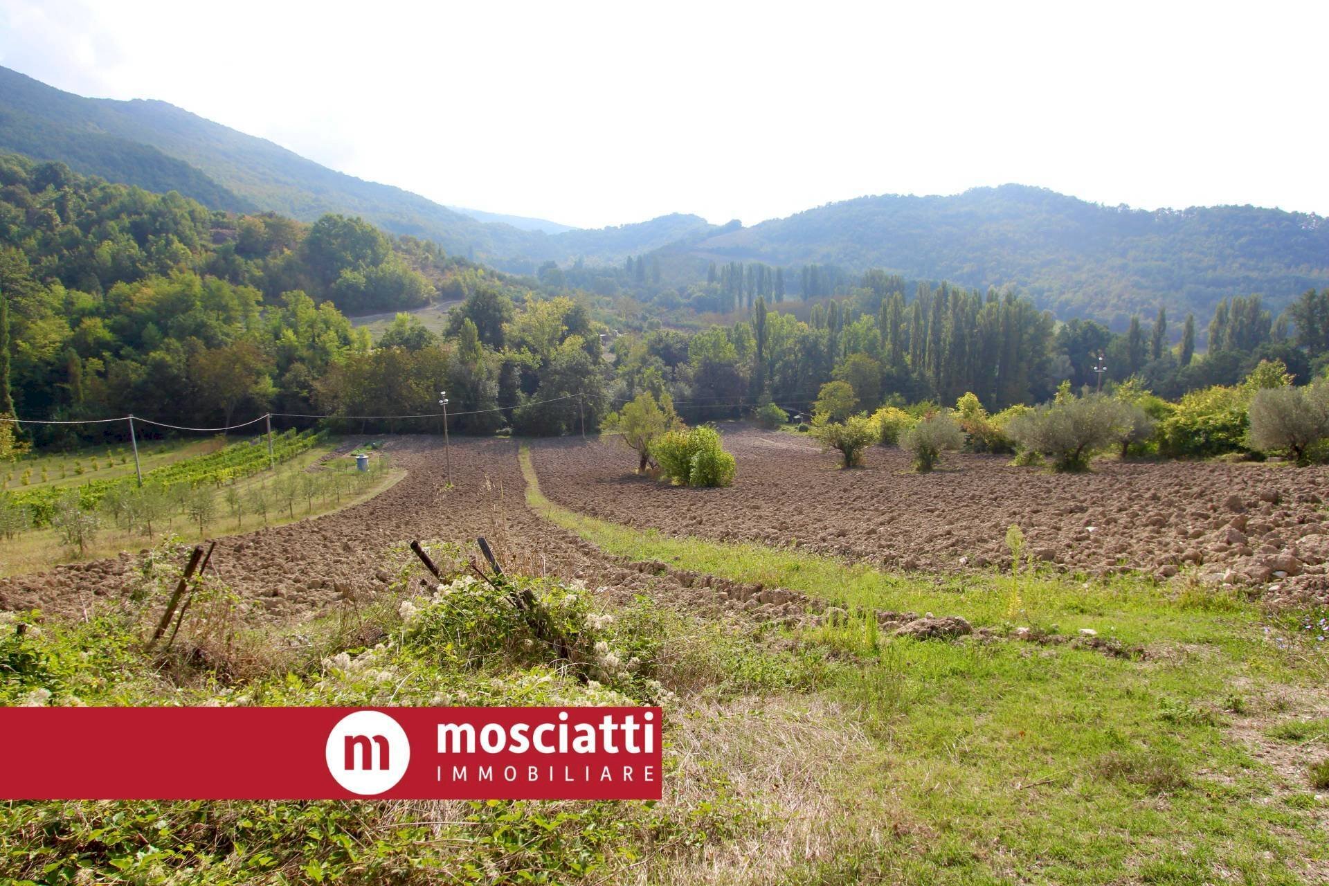 Foto 1 - Terreno agricolo Braccano, Matelica - foto 1