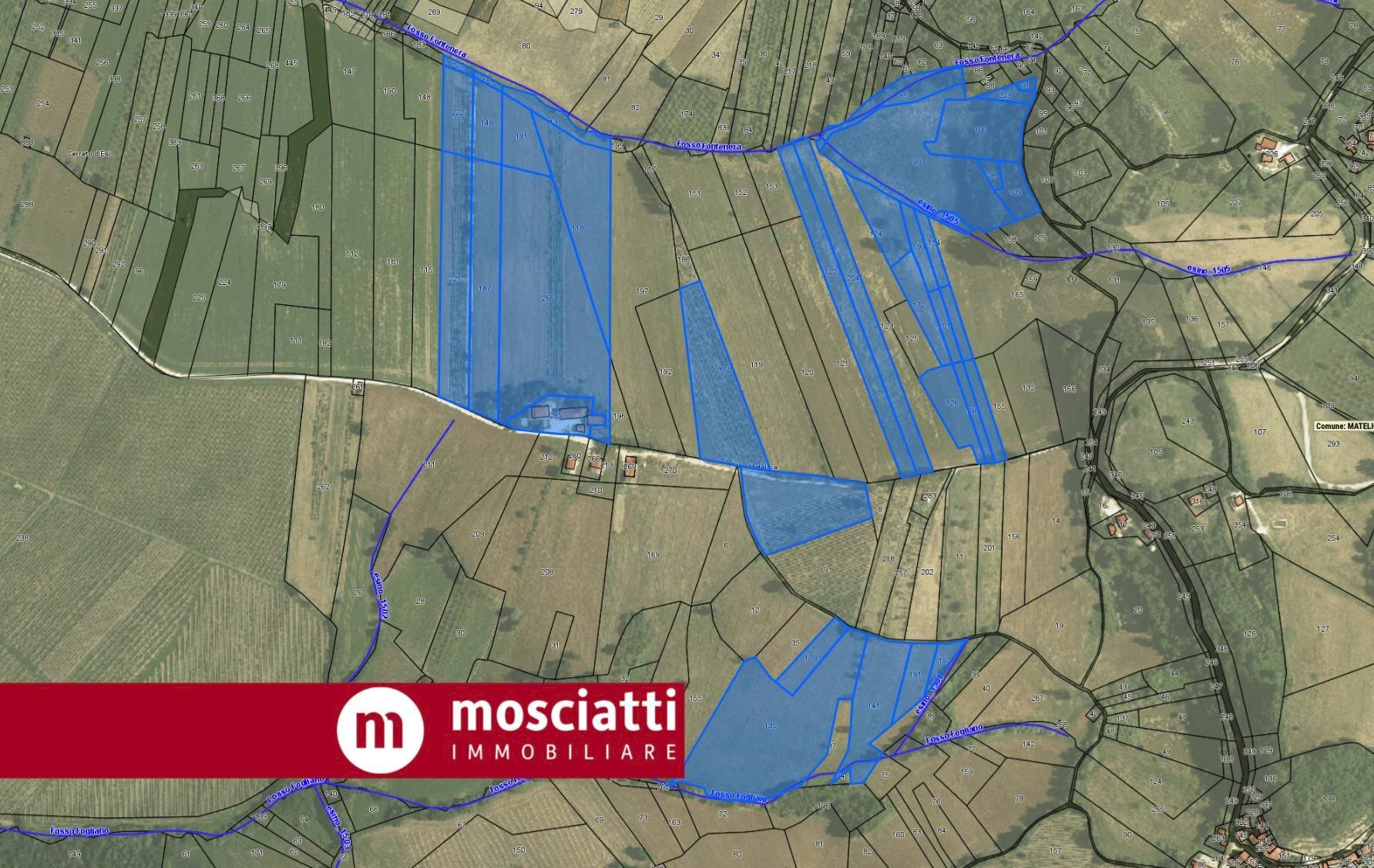 Foto 1 - Terreno agricolo Località Colle Tenuto, Matelica - foto 1