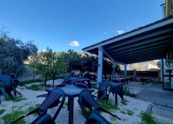 Foto 16 - Attività Commerciale Via Roma, Nuxis - foto 16