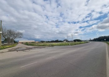 Foto 5 - Terreno edificabile Località Cortexandra, Sestu - foto 5