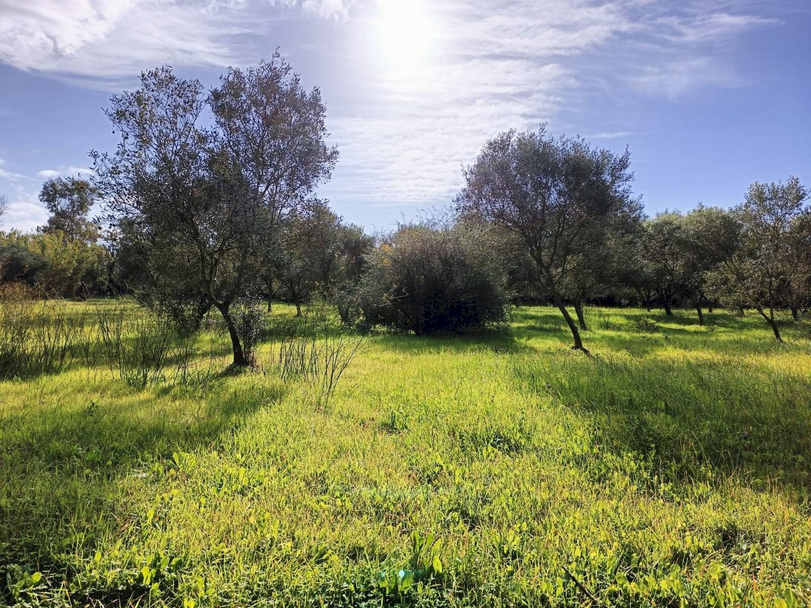 Foto 2 - Casa indipendente Località Nuracesus, Nuraminis - foto 2