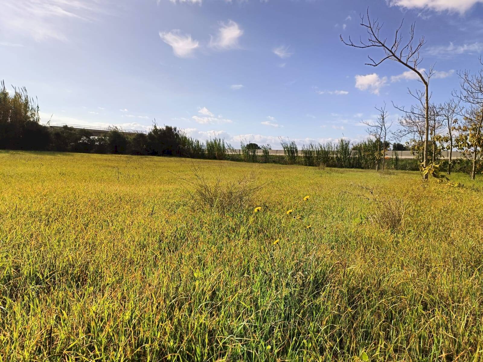 Foto 3 - Casa indipendente Località Nuracesus, Nuraminis - foto 3