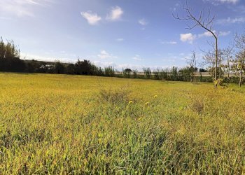 Foto 3 - Casa indipendente Località Nuracesus, Nuraminis - foto 3