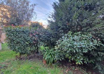 Foto 15 - Casa indipendente Via Ludovico Ariosto
 
57/e, Ferrara - foto 15