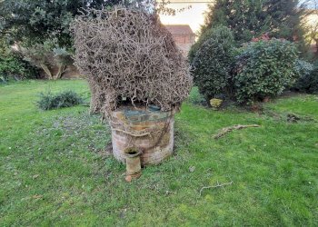 Foto 22 - Casa indipendente Via Ludovico Ariosto
 
57/e, Ferrara - foto 22