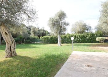 giardino - Casa indipendente Vicinale Prunizzedda Luna e sole
 
10, Sassari - foto 35