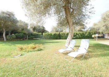 giardino - Casa indipendente Vicinale Prunizzedda Luna e sole
 
10, Sassari - foto 37