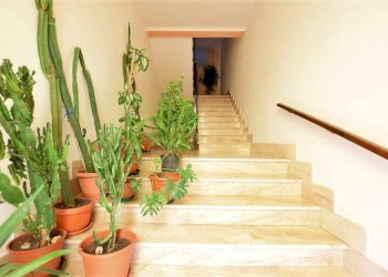 Foto 13 - Appartamento Brigata Sassari
 
31, Chiaramonti - foto 13