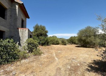 giardino - Villa Filigheddu, Sassari - foto 4