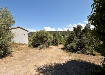 giardino - Villa Filigheddu, Sassari - foto 10