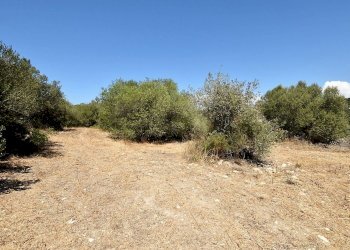 giardino - Villa Filigheddu, Sassari - foto 12