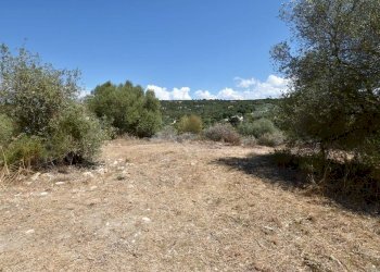 giardino - Villa Filigheddu, Sassari - foto 13