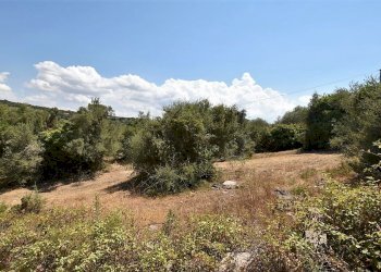 giardino - Villa Filigheddu, Sassari - foto 14