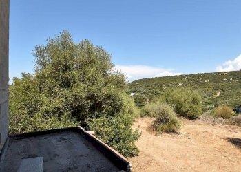 terrazzo - Villa Filigheddu, Sassari - foto 29