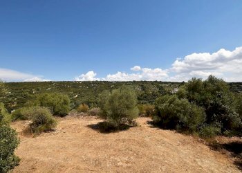 vista - Villa Filigheddu, Sassari - foto 30