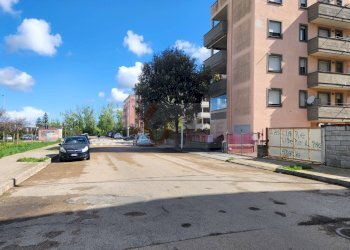 Foto 13 - Agricultural land Pasquale Marginesu, Sassari - photo 12