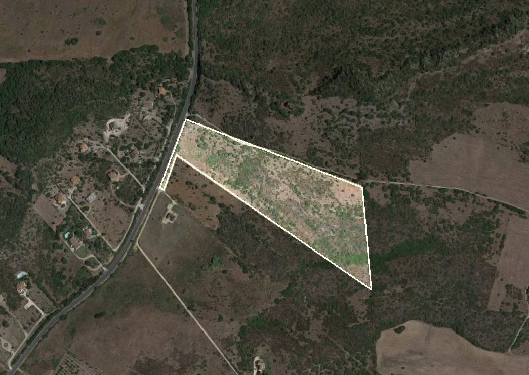 Foto 1 - Agricultural land Reg. Matteattu s.n.c., Carrabuffas - Monte Carru - Caragol, Alghero - photo 1