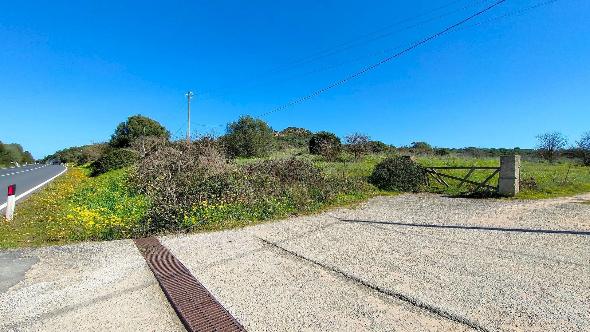 Foto 2 - Agricultural land Reg. Matteattu s.n.c., Carrabuffas - Monte Carru - Caragol, Alghero - photo 2