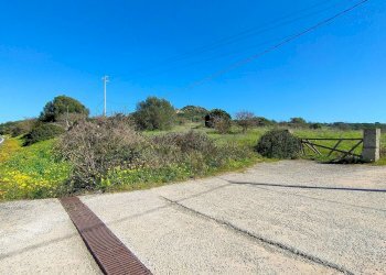 Foto 2 - Agricultural land Reg. Matteattu s.n.c., Carrabuffas - Monte Carru - Caragol, Alghero - photo 2