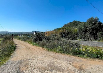 Foto 3 - Agricultural land Reg. Matteattu s.n.c., Carrabuffas - Monte Carru - Caragol, Alghero - photo 3