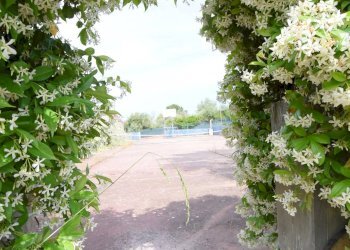 Foto 59 - Villa SP 132 LA CRUCCA 43, Sassari - foto 59