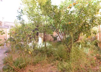 Foto 20 - Casa indipendente via Logudoro
 
7, Ploaghe - foto 20