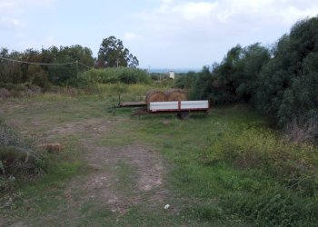 Foto 7 - Agricultural land località lu poiu, Sassari - photo 7