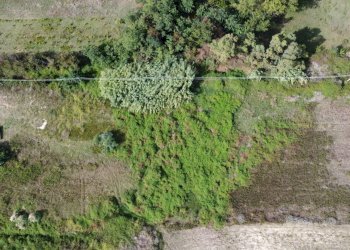 Foto 9 - Agricultural land località lu poiu, Sassari - photo 9