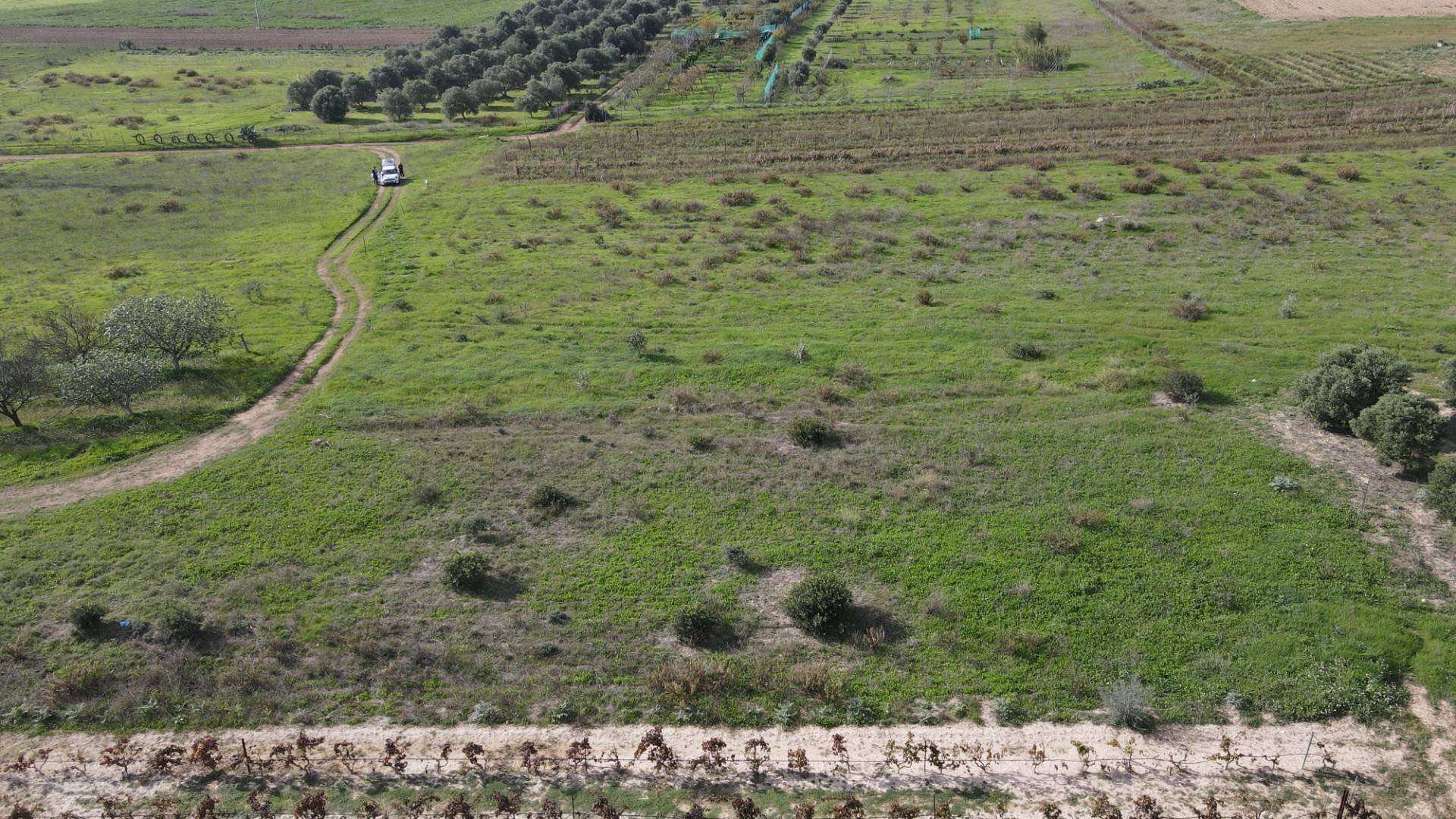 Foto 2 - Terreno agricolo Via Bi'e Mesu, Selargius - foto 2