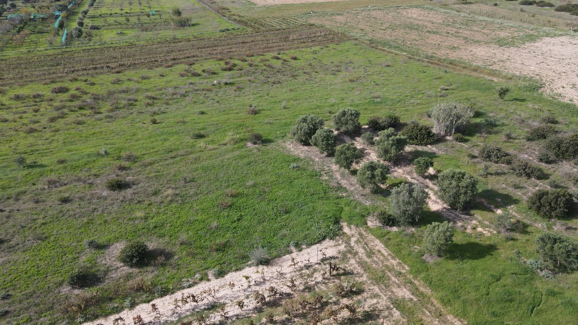 Foto 3 - Terreno agricolo Via Bi'e Mesu, Selargius - foto 3