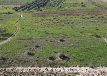 Foto 2 - Terreno agricolo Via Bi'e Mesu, Selargius - foto 2