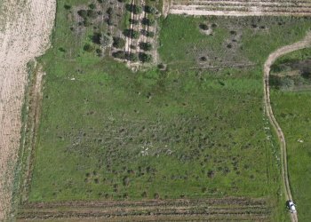 Foto 4 - Terreno agricolo Via Bi'e Mesu, Selargius - foto 4