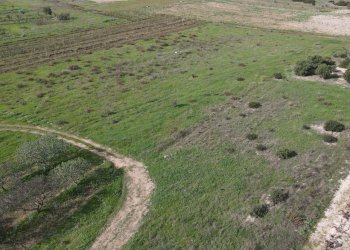 Foto 5 - Terreno agricolo Via Bi'e Mesu, Selargius - foto 5