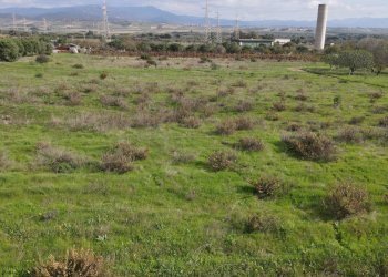 Foto 6 - Terreno agricolo Via Bi'e Mesu, Selargius - foto 6