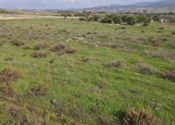 Foto 7 - Terreno agricolo Via Bi'e Mesu, Selargius - foto 7