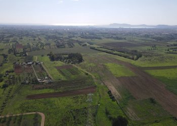 Foto 9 - Terreno agricolo Via Bi'e Mesu, Selargius - foto 9