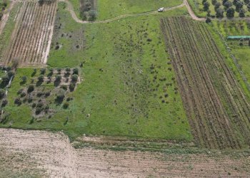 Foto 10 - Terreno agricolo Via Bi'e Mesu, Selargius - foto 10