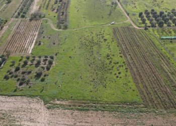 Foto 11 - Terreno agricolo Via Bi'e Mesu, Selargius - foto 11