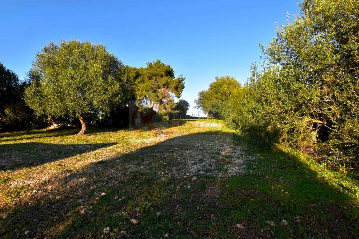 Foto 1 - Terreno agricolo Via Diana
 
snc, Sassari - foto 1