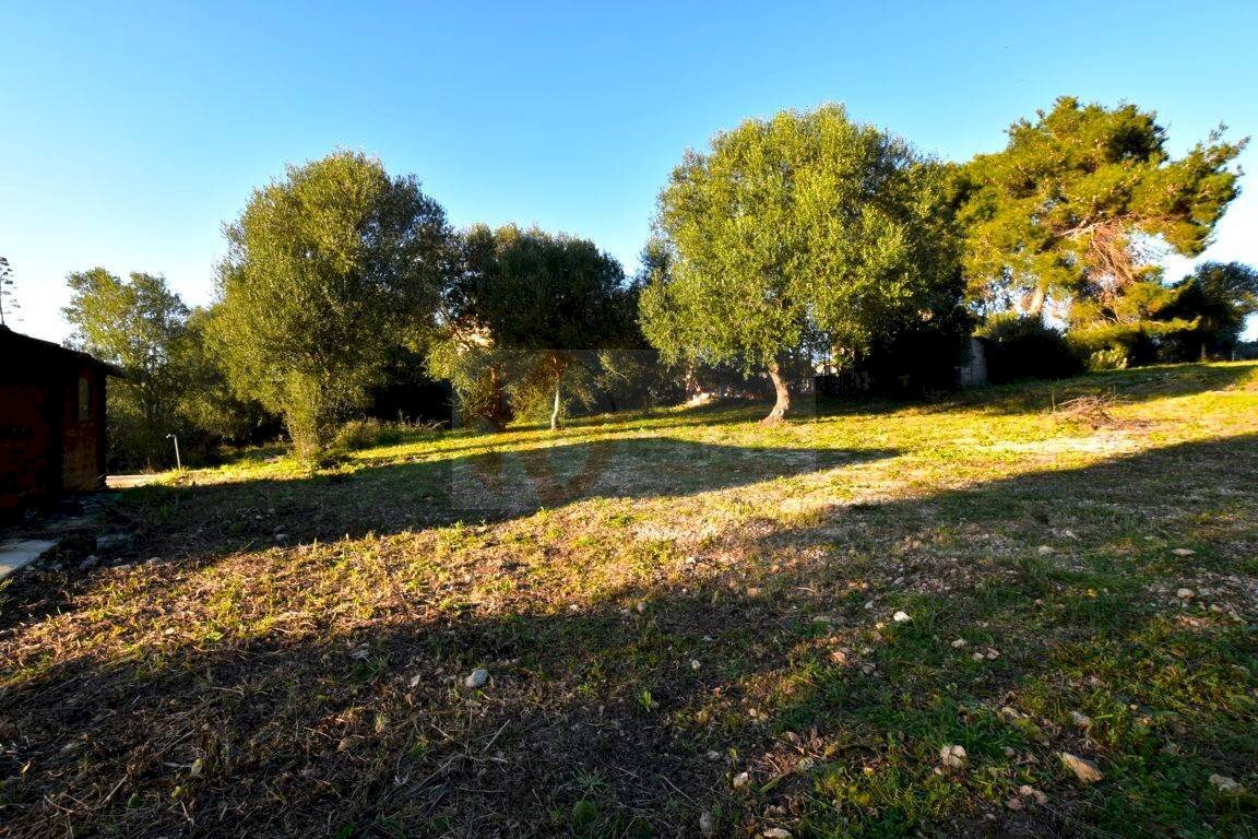 Foto 2 - Terreno agricolo Via Diana
snc, Sassari - foto 2