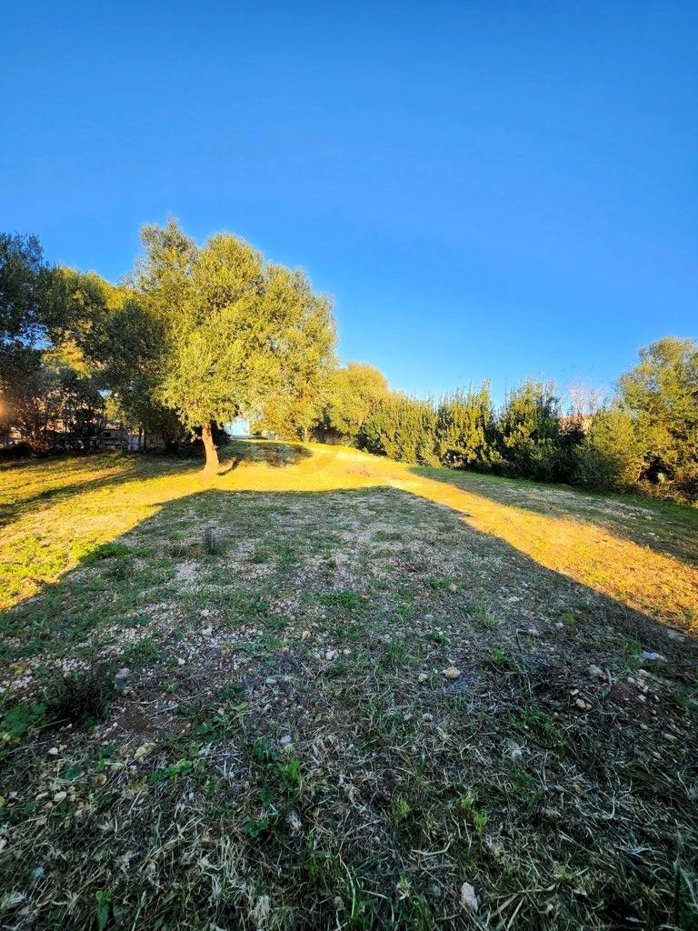 Foto 3 - Terreno agricolo Via Diana
snc, Sassari - foto 3