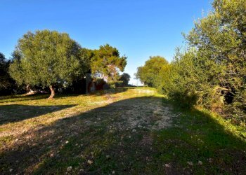 Foto 1 - Agricultural land Via Diana
 
snc, Sassari - photo 1