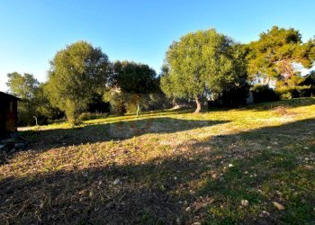 Foto 2 - Agricultural land Via Diana
 
snc, Sassari - photo 2