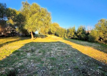 Foto 3 - Agricultural land Via Diana
 
snc, Sassari - photo 3